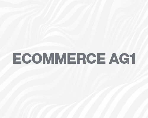 Case Study: Ecommerce AG1