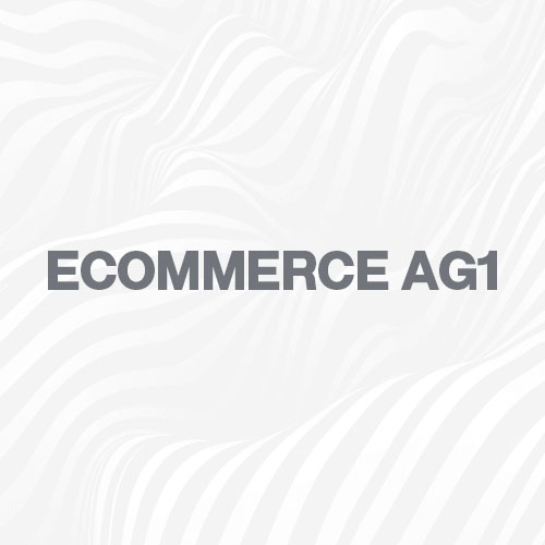 Case Study: Ecommerce AG1
